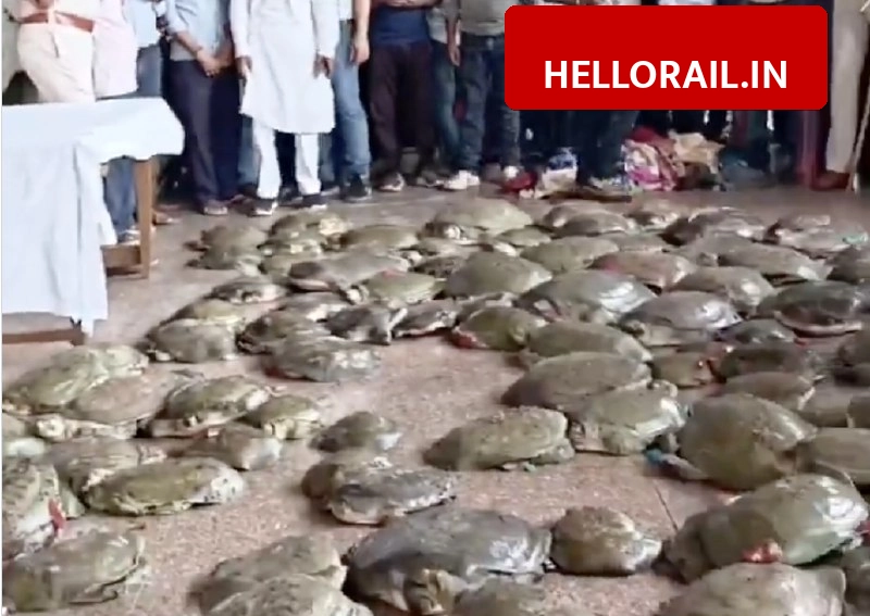 Patna Railway Junction: Railway Police seize nearly 100 live turtles from Farakka Express, four arrested