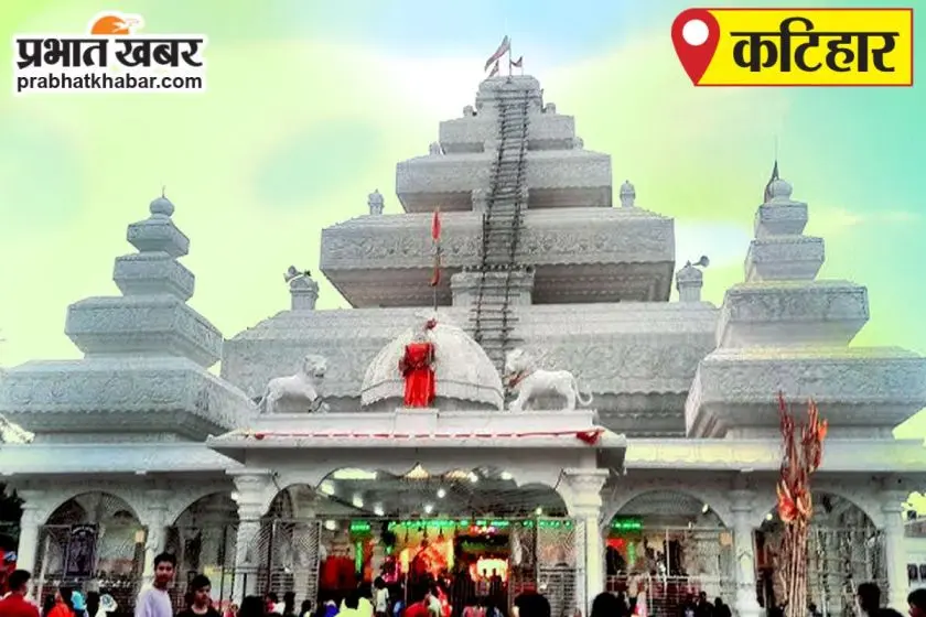 Manihari-Tejnarayanpur Train Service Resumes, Citizens Rejoice After 8th January Shutdown in Katihar, Bihar