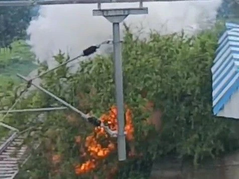 Train services are disrupted in Pratapgarh after a tree falls on high tension lines
