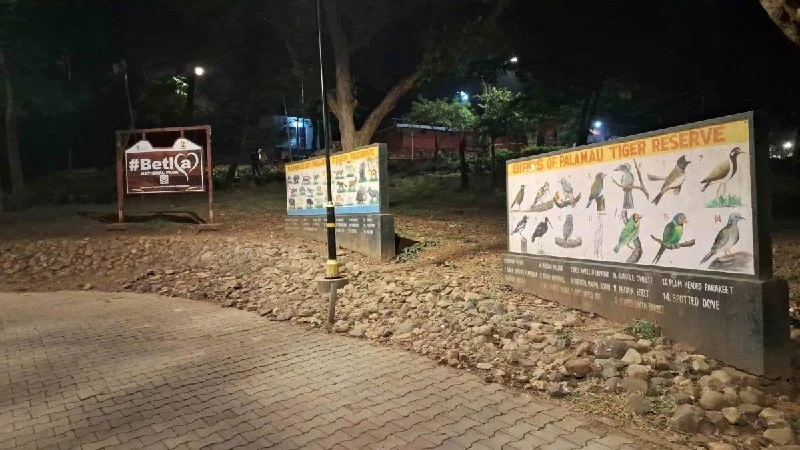 Railway Vikas Nigam Applies to Divert Tracks Out of Palamu Tiger Reserve