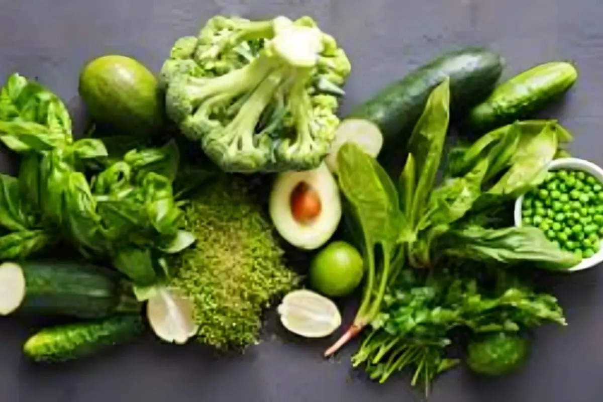 Bihar Government Takes Major Step to Address Storage and Packaging Issues for Fruits and Vegetables, Sets Up Modern Cold Chain Yards.