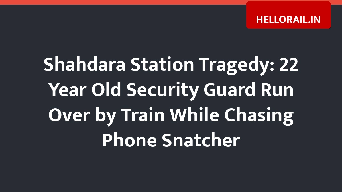 Delhi Shahdara Station Incident: Security Guard Dies After Being Hit by Train While Chasing Snatcher