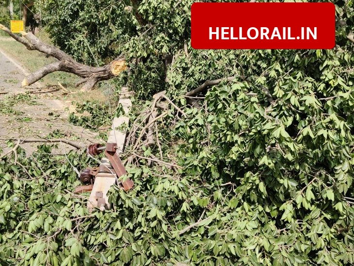 Khajuraho-Panna Rail Line: Route changed after cutting 54,000 trees, project delayed by 3 years