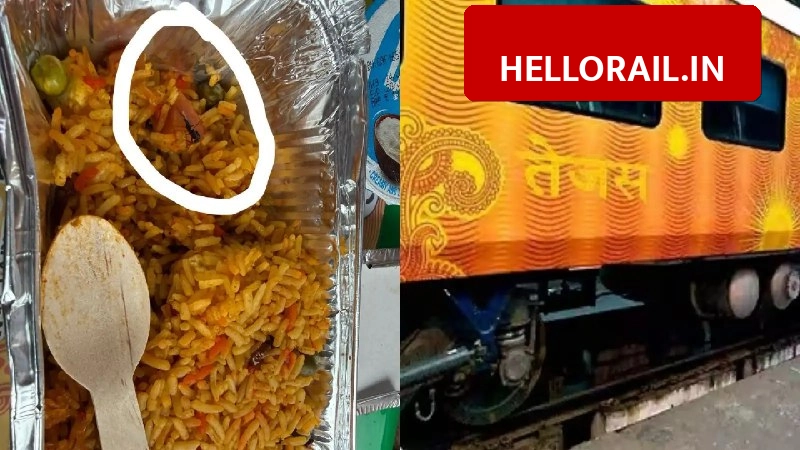 Tejas Express: Railway imposes 1 lakh fine on vendor for serving food with fly