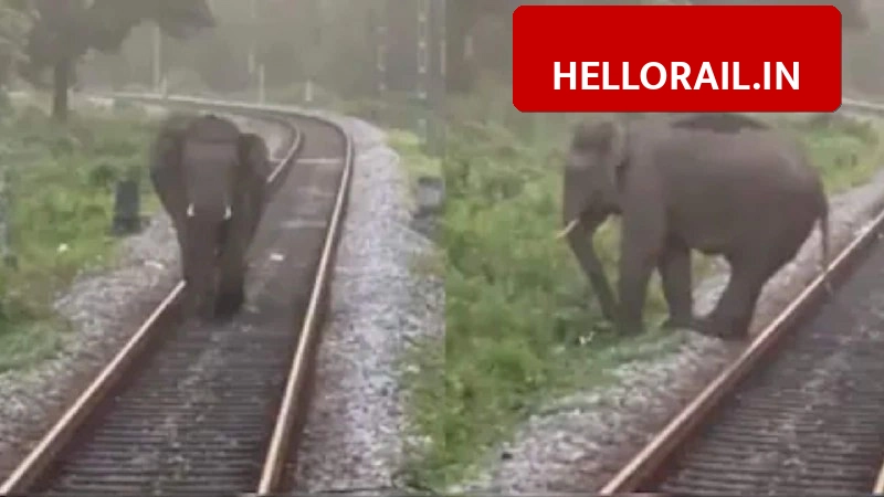Railway safety boost: AI-based Gajraj Suraksha system to prevent elephant collisions